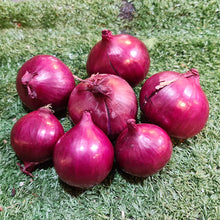 Load image into Gallery viewer, Vegetables: Onion (Red)
