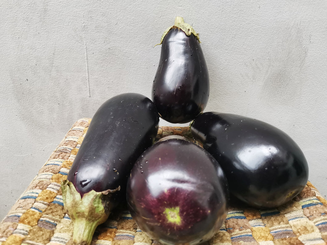 Vegetable: Eggplant Aubergine