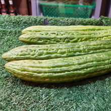 Load image into Gallery viewer, Vegetables: Bitter Melon (Ampalaya)
