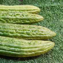 Load image into Gallery viewer, Vegetables: Bitter Melon (Ampalaya)
