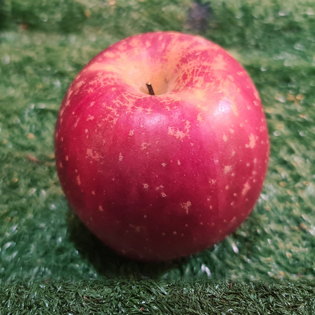 Fruit: Apple