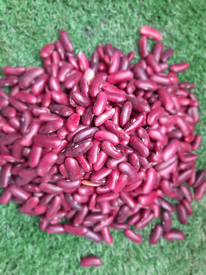 Red Beans