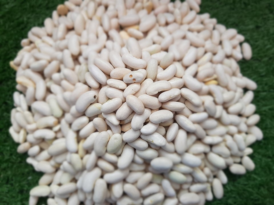 White Beans