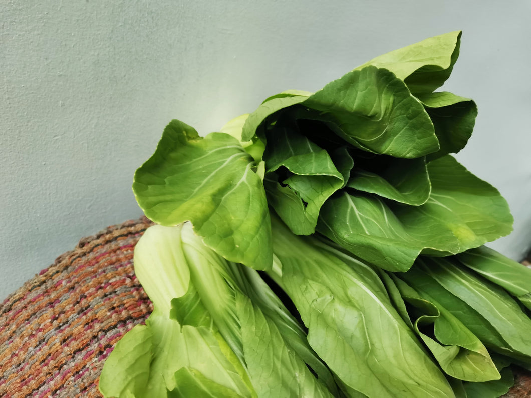 Vegetables: Bok Choy