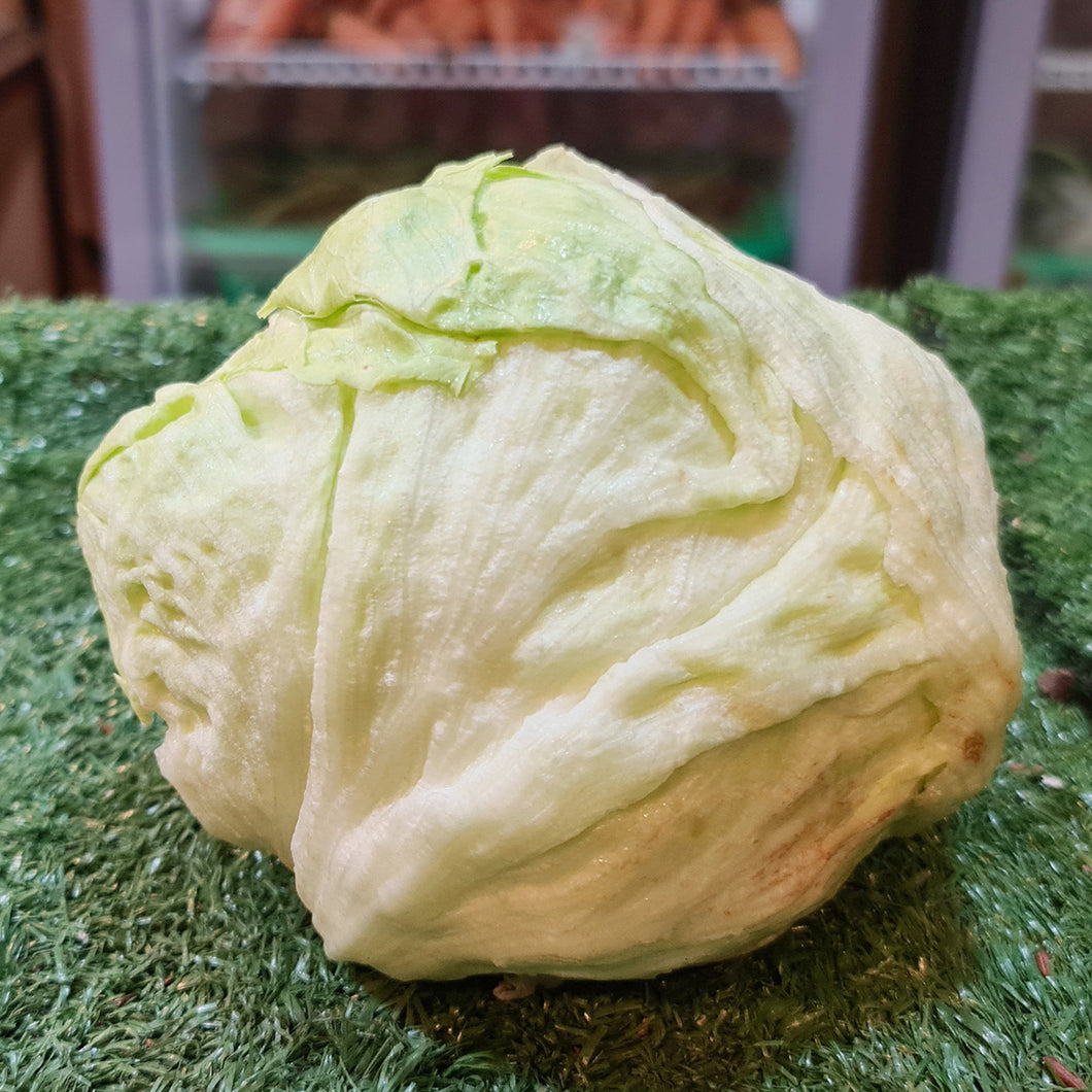 Vegetables: Lettuce (Ice Berg)