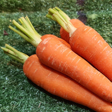 Load image into Gallery viewer, Vegetables: Carrot
