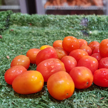 Load image into Gallery viewer, Vegetables: Cherry Tomato
