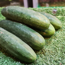 Load image into Gallery viewer, Vegetables: Cucumber
