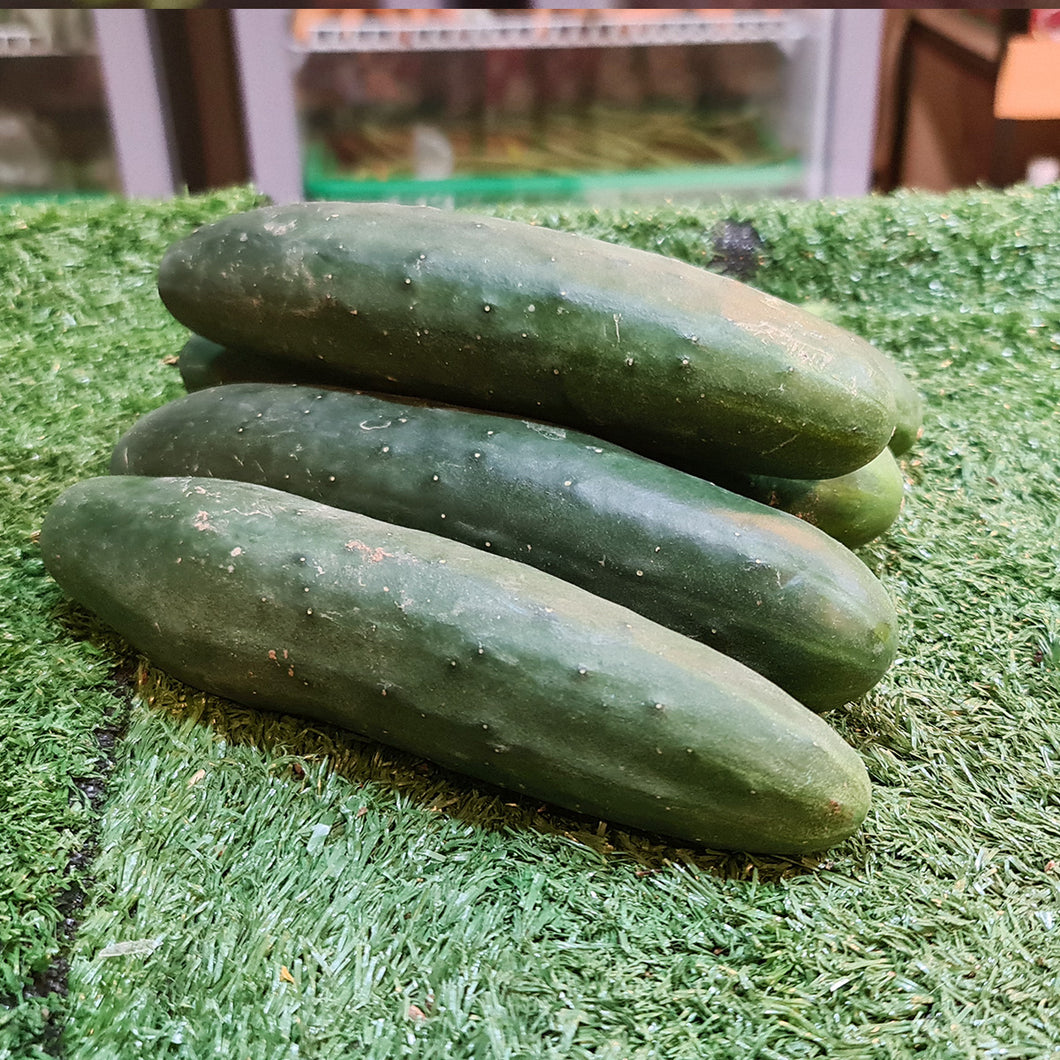 Vegetables: Cucumber