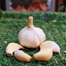 Load image into Gallery viewer, Vegetables: Garlic (Bawang)
