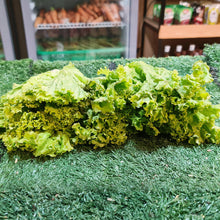 Load image into Gallery viewer, Vegetables: Lettuce (Green Ice)
