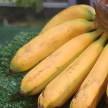 Load image into Gallery viewer, Fruit: Banana (Latundan)
