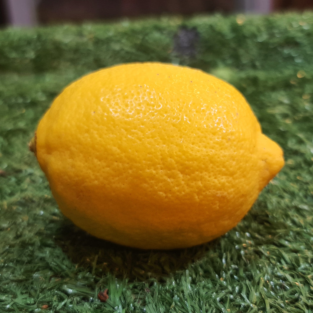 Fruit: Lemon