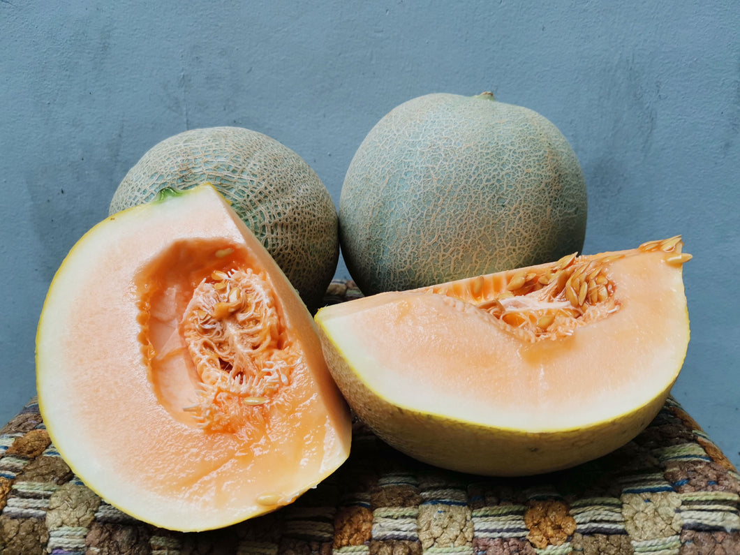 Fruit: Melon