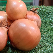 Load image into Gallery viewer, Vegetables: Onion (White)
