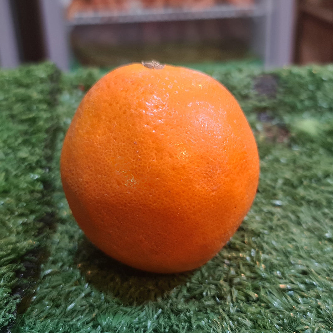 Fruit: Orange