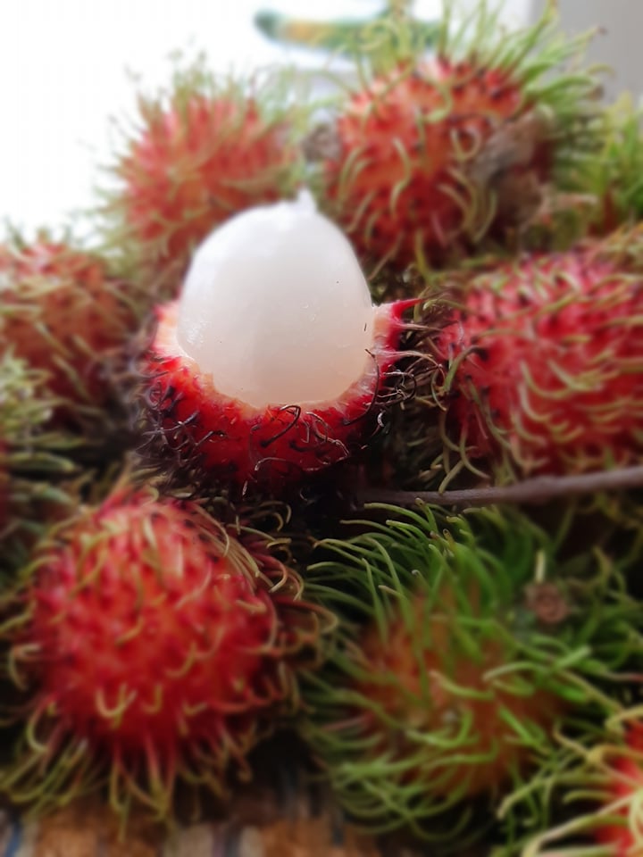 Fruit: Rambutan