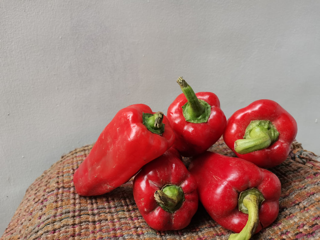 Vegetables: Red Bell Pepper (Red)