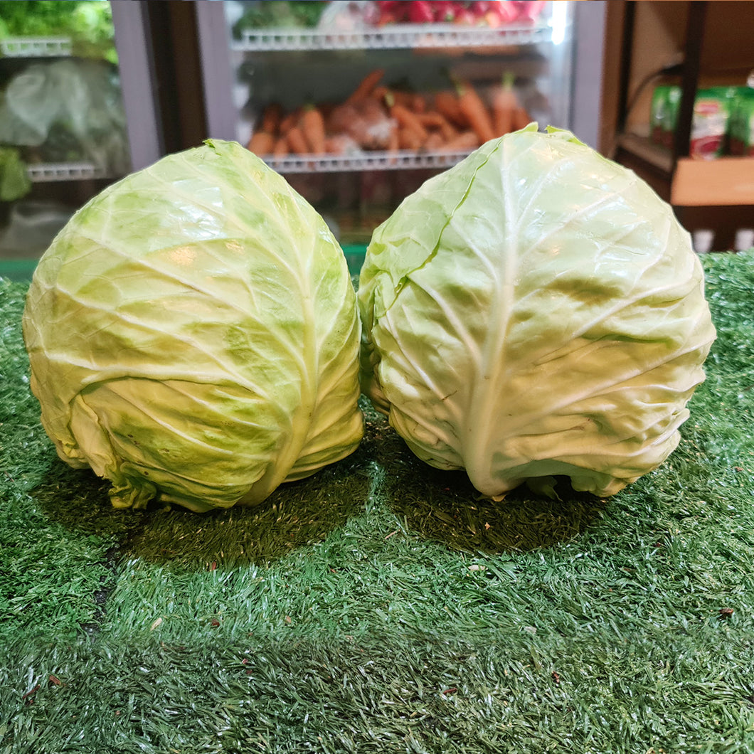 Vegetables: Cabbage(Repolyo)