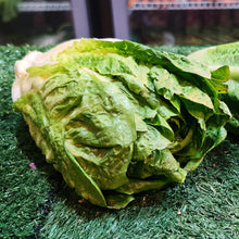 Load image into Gallery viewer, Vegetables: Lettuce (Romaine)
