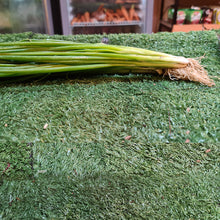 Load image into Gallery viewer, Vegetables: Spring Onion
