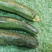 Load image into Gallery viewer, Vegetables: Zucchini
